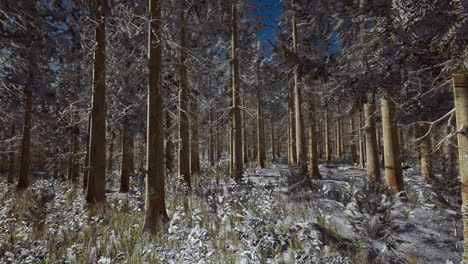 Landschaft-Schnee-Bäume-Dichter-Wald-Im-Winter
